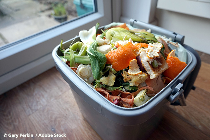 Food Waste In The USA: How You Can Have An Impact