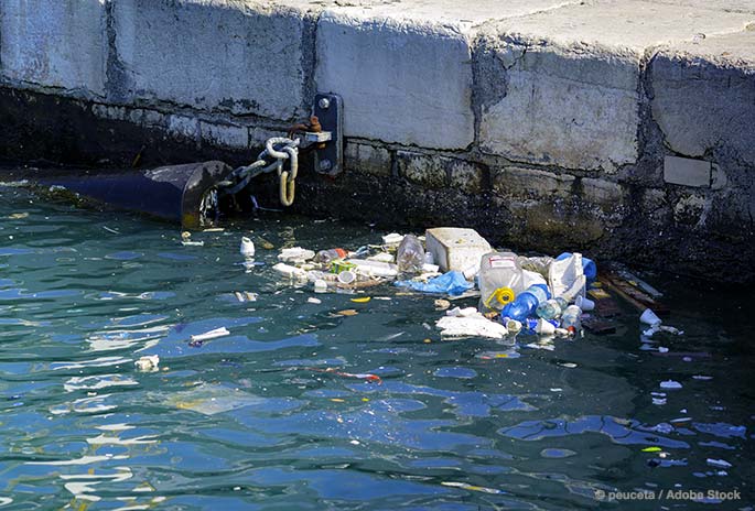 Tackle Urban Waterway Garbage with the WasteShark