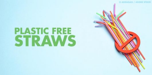 Seaweed Straws: Are These Eco-Friendly Straws the Answer?